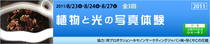 植物と光の写真体験