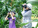 植物と光の写真体験③