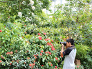 植物と光の写真体験⑤