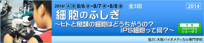 細胞のふしぎ