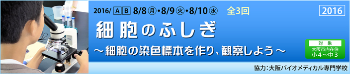 細胞のふしぎ