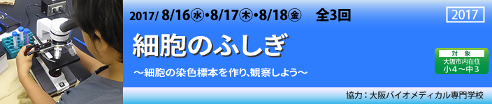 細胞のふしぎ