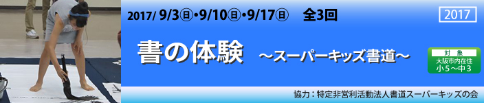 書の体験