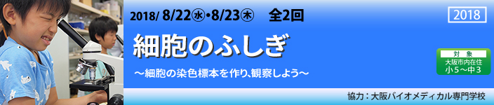 細胞のふしぎ