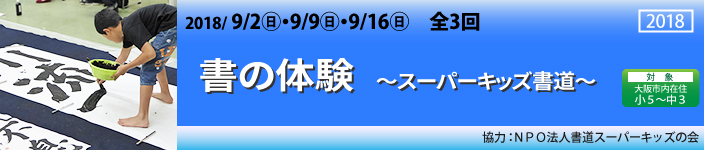 書の体験