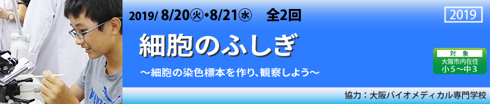 細胞のふしぎ