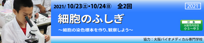 細胞のふしぎ