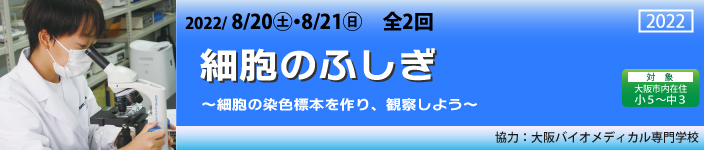 細胞のふしぎ